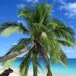 Das ist ein Bild