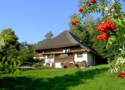 Symbolbild zur Meldung "Sdschwarzwald"