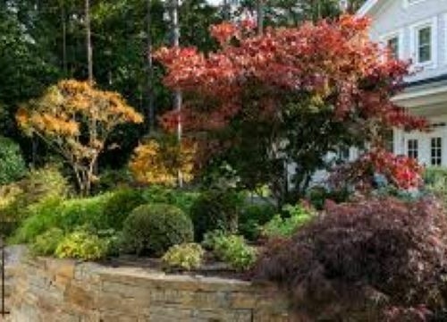 Symbolbild zur Meldung "Hecken/Str�uchern"